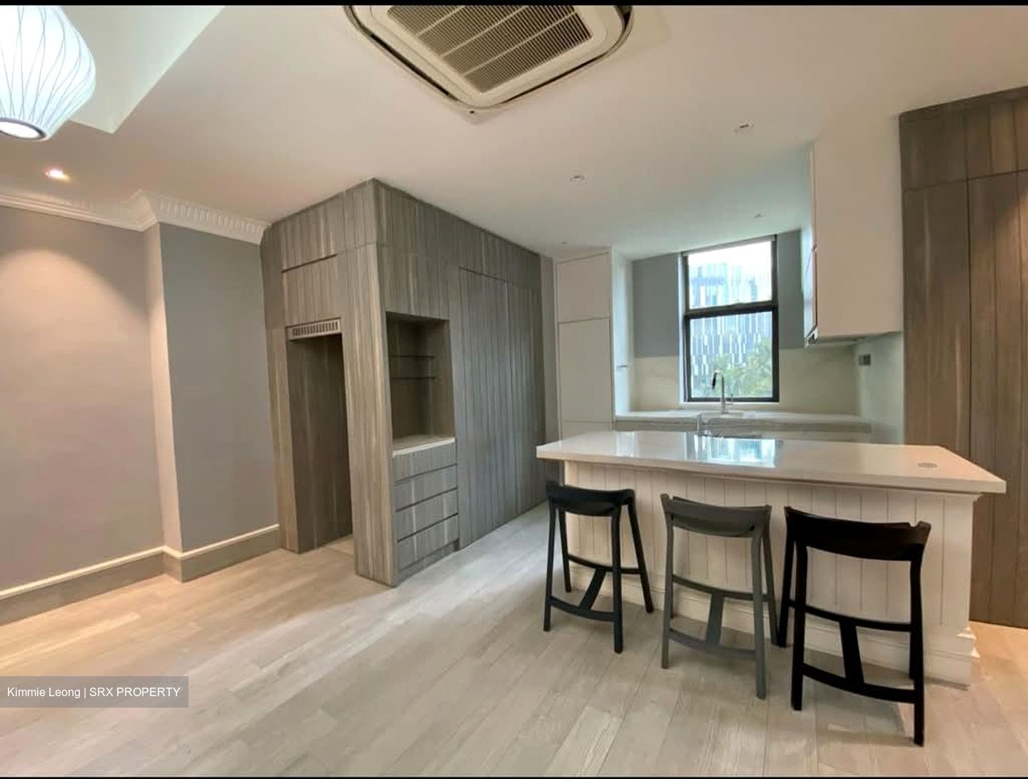 Gardenville (D10), Condominium #555909821